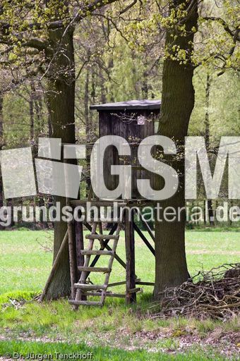 Hochstände (97 von 154).jpg